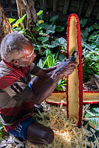 Dani tribe man preparing Pandanus palm fruit, Budaya village, Suroba, Trikora Mountains, West Papua, Indonesia. March 2018.