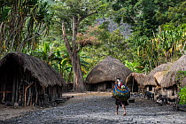 Dani tribe dwelling, Jiwika village, Suroba, Trikora Mountains, West Papua, Indonesia. March 2018.