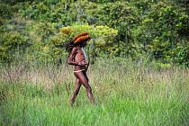 Dani tribe man with penis gourd / Koteka. Jiwika village, Suroba, Trikora Mountains, West Papua, Indonesia. October 2020.