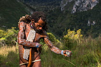 Dani tribe man decorating body with clay, Jiwika village, Suroba, Trikora Mountains, West Papua, Indonesia. October 2020.