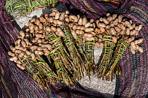 Peanuts for sale in local market, near Wamena, Trikora Mountains, West Papua, Indonesia. March 2018.