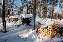 Firewood stacked in snow outside poymot, a traditional Selkup turf hut. At winter hunting camp in boreal forest, Ratta, Krasnoselkup, Yamal, Western Siberia, Russia. 2012.
