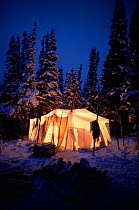 Light shining from tent at Innu hunting camp at dusk, in snow covered boreal forest. Southern Labrador, Newfoundland and Labrador, Canada.