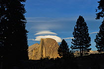 Half Dome viewed past silhouetted conifers. Yosemite National Park, California, USA. September 2013.