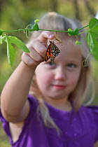 Gulf fritillary butterfly (Agraulis vanillae) on Passion vine (Passiflora sp), girl attempting to hold the butterfly by moving it on to her finger. Hill Country, Texas, USA. 2013. Model released.