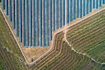 Aerial view of solar panels on top of a coal ash pyramid in East-Central Europe. After coal is burned in power plants, the waste ash is stacked and compacted into large pyramids, which may eventually...
