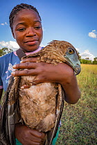 Young Mozambican scientist Diolinda Mundoza admires a juvenile Bateleur eagle (Terathopius ecaudatus) that she just captured at a goat carcass in Gorongosa National Park, Mozambique.