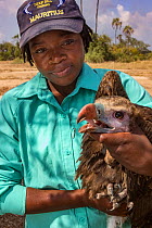 A young White-headed vulture (Trigonoceps occipitalis) is gently restrained by young Mozambican scientist Diolinda Mundoza, as biologists prepare to release it after attaching a solar-powered GPS tran...