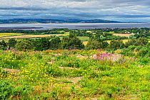 View from Thurstaston Hill on the Wirral across the River Dee Estuary with the hills of North Wales in distance, UK August 2020