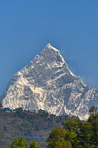 Machapuchhari Mountain, from Pokhara, Nepal, March 2019.