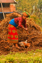Village woman with chickens, Astam, near Pokhara, Nepal March 2019.