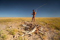 A Zu/&#39;hoasi bushman considers the desiccated carcass of a plains zebra (Equus quagga) in the Makgadikgadi Pans, Botswana.