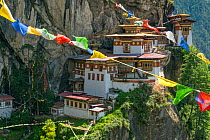 Paro Taktsang / Tiger&#39;s Nest Buddhist monastery perched on cliffs with prayer flags. Bhutan. September 2013.