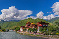 Bridge to Punakha Dzong, built on the confluence of the Mo Chhu (female) and Pho Chhu (male) rivers, Bhutan. September 2013.
