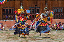 Black Hat dance. Haa Tsechu festival at the &#39;white chapel&#39;. Cham, or Masked dance. Bhutan. September 2013. Editorial use only.