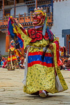 Cham or &#39;Mask&#39; Dancer at Gante Goemba Tsechu, festival in monastery courtyard. Phobjika, Bhutan. September 2013.