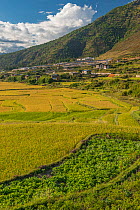 Farmland and village in Thimphu River Valley. Bhutan. September 2013.