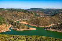 Torrejon-Tajo Reservoir, Monfrague National Park, Extremadura, Spain, June.