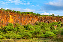 Rift Valley around Lake Baringo, North Kenya. February 2020.