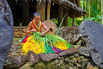 Young Yapese woman in a traditional outfit for cultural ceremonies, weaving a basket from a palm frond and surrounded by stone money in a village on the island of Yap, Micronesia. Model released.
