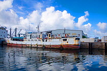 A Chinese commercial fishing boat at the dock in front of a tuna processing plant, Colonia, Yap, Micronesia.