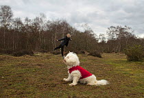 Forced perspective photo of a young woman appearing to stand / balance on a dog&#39;s nose, UK.