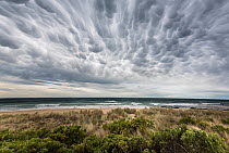 Mammatus clouds offshore. Apollo Bay, Victoria, Australia, June 2015