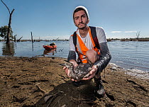 Animal welfare and anti-duck hunting advocate Dillon Walkin displays a dead threatened freckled duck (Stictonetta naevosa)  that was just collected from a lake during the opening morning of duck hunti...