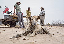 Member of Cheetah Conservation Botswana (Phale Seele) chatting with local goat farmers and guard dog recipients from Cheetah Conservation Botswana,  Mr Andrew Molatole (middle) and Mr Ofeletse Thaushe...