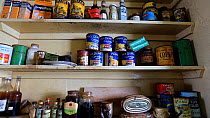 Zoom out of food supplies in Station W, a former British scientific research station, left as it was after researchers evacuated in 1959, Detaille Island, Graham Land, Antarctica, 2020.
