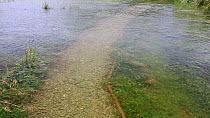 A path submerged underwater due to the River Brathay flooding following a June record amount of rain falling in 24 hours, Ambleside, Lake District, UK.