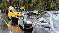 Panning shot of cars and an AA breakdown vehicle at a stand-still next to flood caused by Storm Ciara at Rothay Bridge in Ambleside, Lake District, UK, February, 2020.