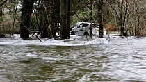 Parked cars partially submerged underwater due to flooding caused by Storm Ciara at Rothay Bridge in Ambleside, Lake District, UK, February, 2020.