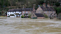 Houses flooded by the River Severn after Storm Ciara and Storm Dennis, the wettest February recorded in the UK. Shrewsbury, Shropshire, England, UK, February 2020.