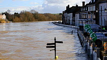 Environment Agency flood defences alongside flooded the River Severn. The river overtopped the barriers after Storm Ciara and Storm Dennis, the wettest February recorded in the UK. Bewdley, Worcesters...