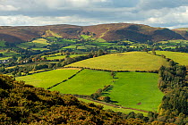 Llanfihangel Hill (Colva Hill), Radnor Forest and Weythel Common, Radnorshire, Wales, October,