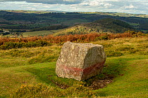 The Whetstone on Hergest Ridge, a glacial erratic boulder, composed of gabbro, Herefordshire, England, UK. October.