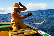 Artisanal, selective fishing for Skipjack tuna (Katsuwonus pelamis) Tenerife. Canary Islands. December 2020