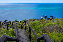 Whale watching platform, Leeuwin-Naturaliste National Park, Western Australia.
