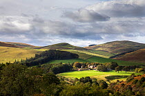 College valley, view to Hethpool House, Hethpool, Northumberland National Park, UK, October 2020