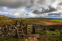 Stile on Hadrian's Wall path, Northumberland National Park, UK, October 2020
