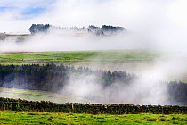 Misty landscape, Redesdale, Northumberland, UK, September 2020