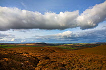 View from Darden pike, Northumberland National Park, UK, October