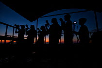 Students with cameras pose as silhouettes after the sun sets over the Amazon Rainforest. On the top of the viewing tower at Napo Cultural Center Lodge, Yasuni National Park, Ecuador.