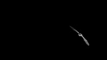 Slow motion shot of Noctule bat (Nyctalus noctula) flying towards camera, Devon, UK.