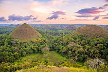 The Chocolate Hills are a geological formation in Bohol province in the Philippines. More than a thousand of these hills occur in a 50 square kilometre area. In the dry season the grass on them turns...