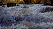 Tracking shot over a river, Dartmoor, Devon, England, UK, November.