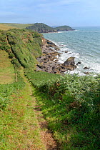 View north along the undulating South West Coast Path towards Drennick and Black Head, near Pentewan, South Cornwall, UK, August 2020.