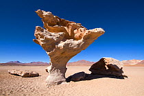 Arbol de Piedra, The Stone Tree, a isolated rock formation, Eduardo Avaroa Andean Fauna National Reserve, South Lipez, Bolivia
