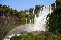 Iguazu waterfall on the border of Brazil, with rainbow, Iguazu National Park, Argentina